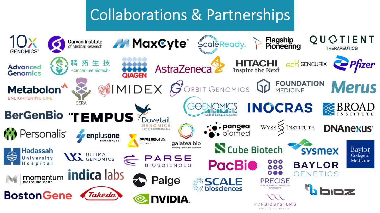 collabs and partnerships